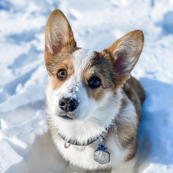 Welcome! - Picture 2 of 5